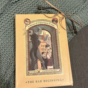 Grumpy Dragon Bookshop